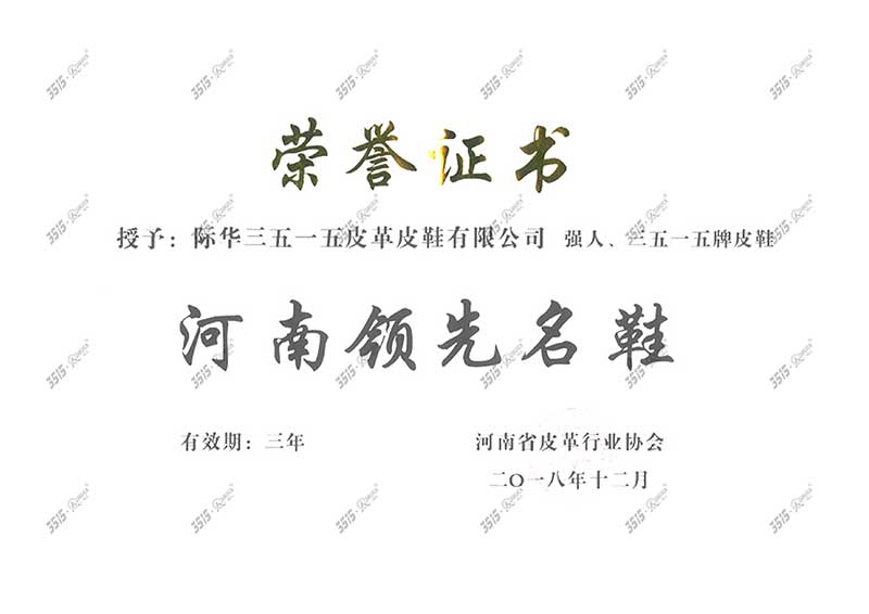 河南领先名鞋